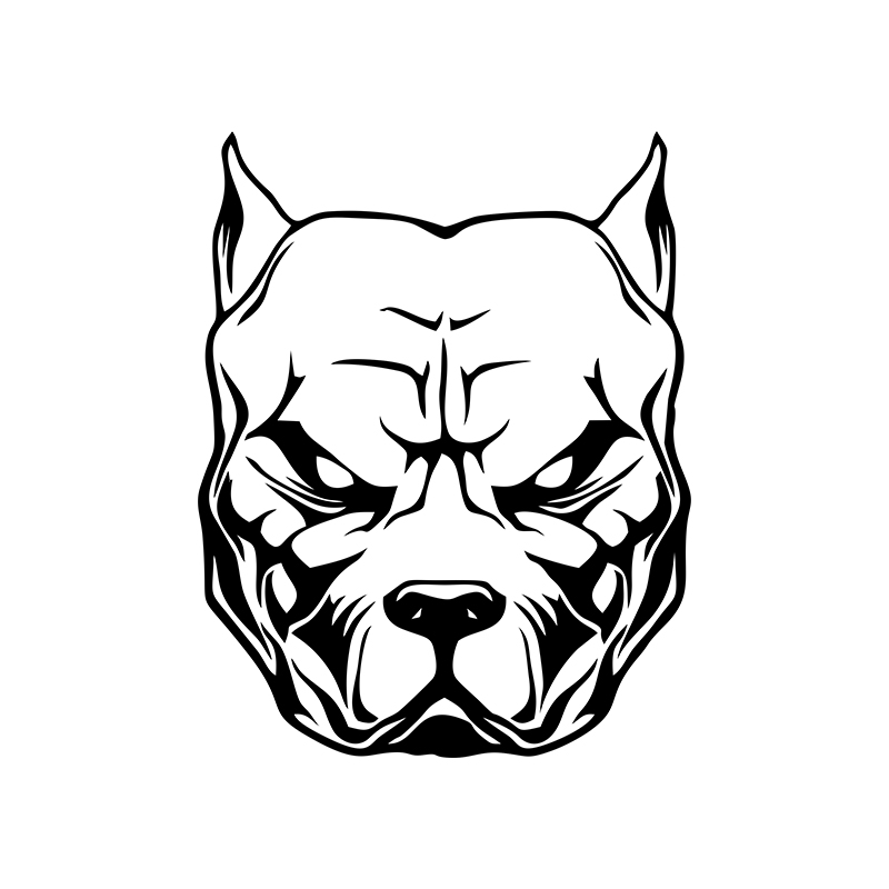 Motorcycle Sticker dog pattern - Motorcycle Gear For Dogs avaliação e preço