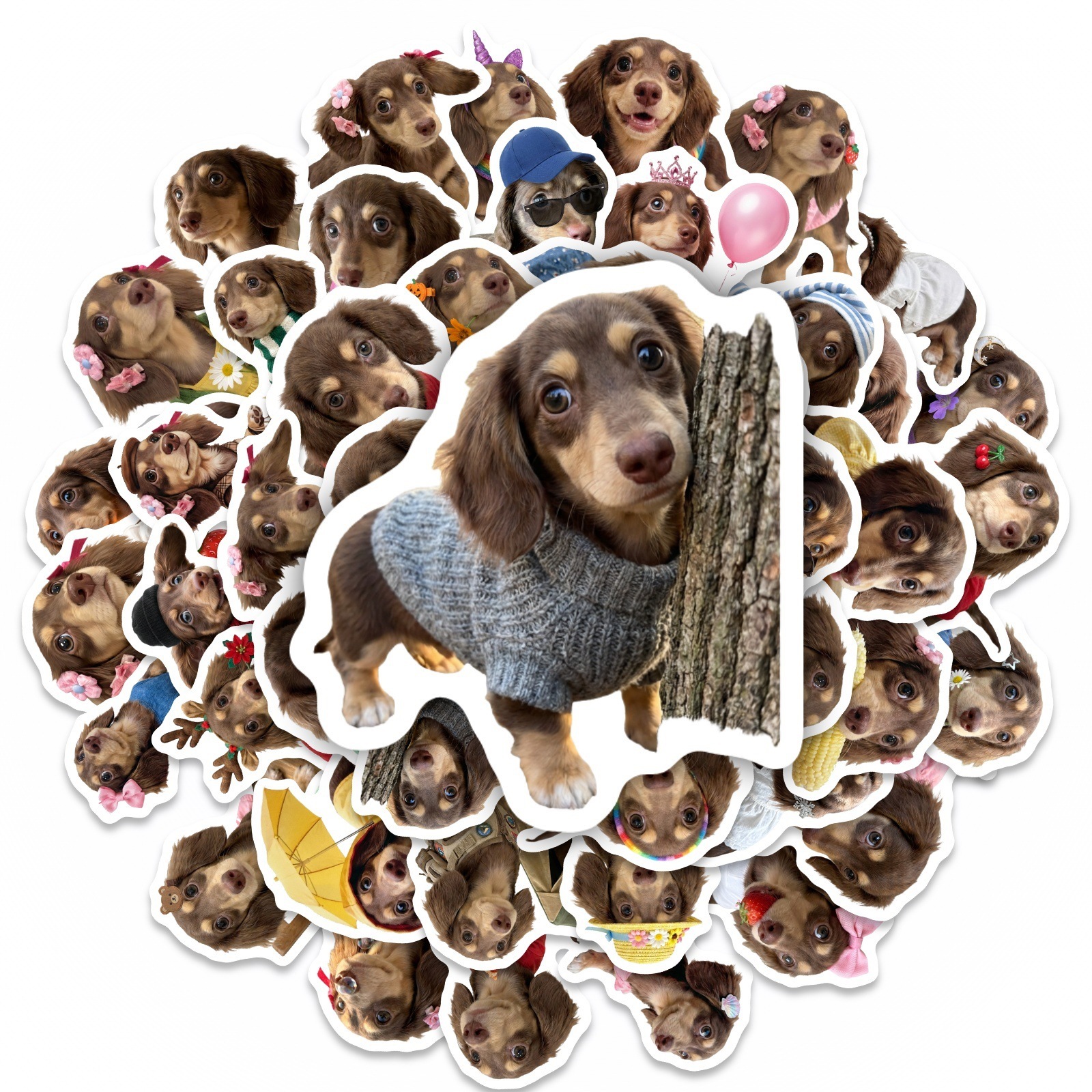 50 Pcs HD Cute Dachshund Stick - Motorcycle Gear For Dogs avaliação e preço