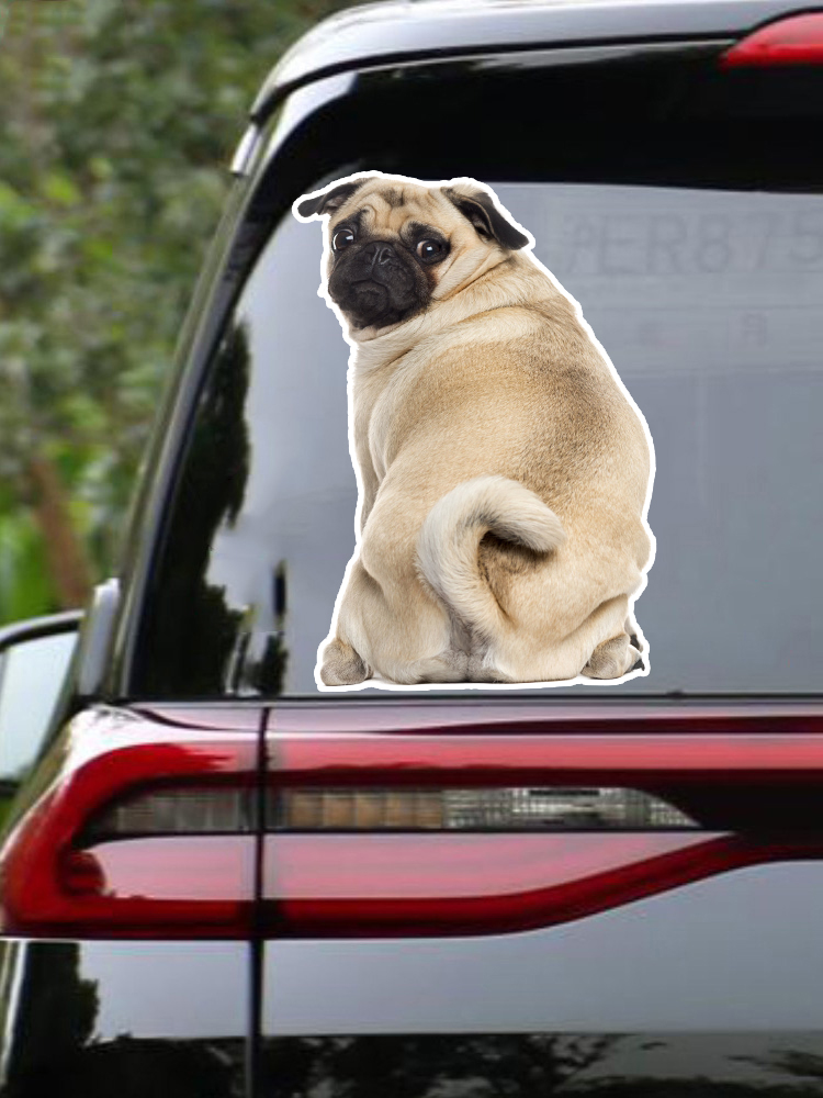 B0692# Self-adhesive Decal Pug - Motorcycle Gear For Dogs avaliação e preço