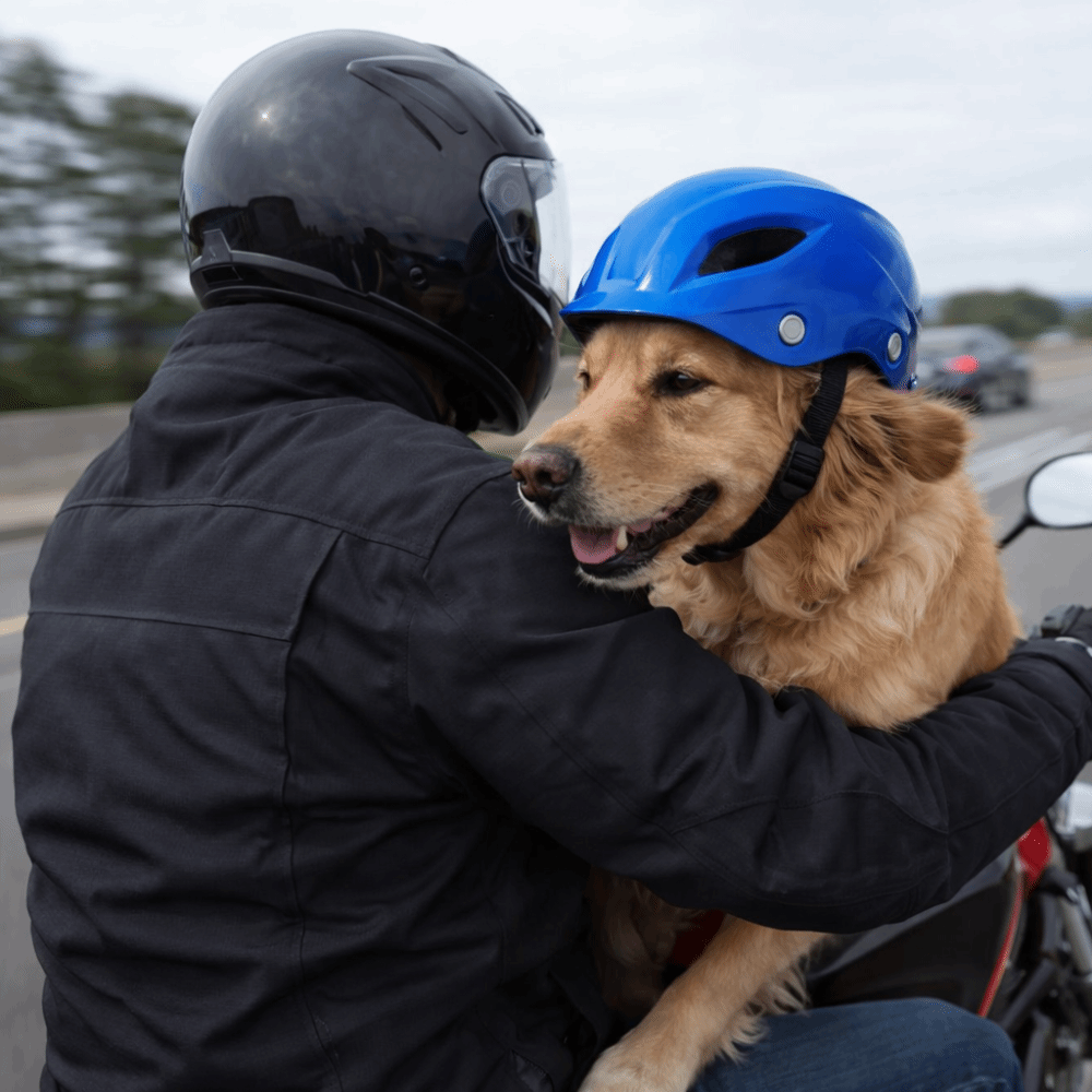 Pet Headgear Adjustable Dog He - Motorcycle Gear For Dogs avaliação e preço
