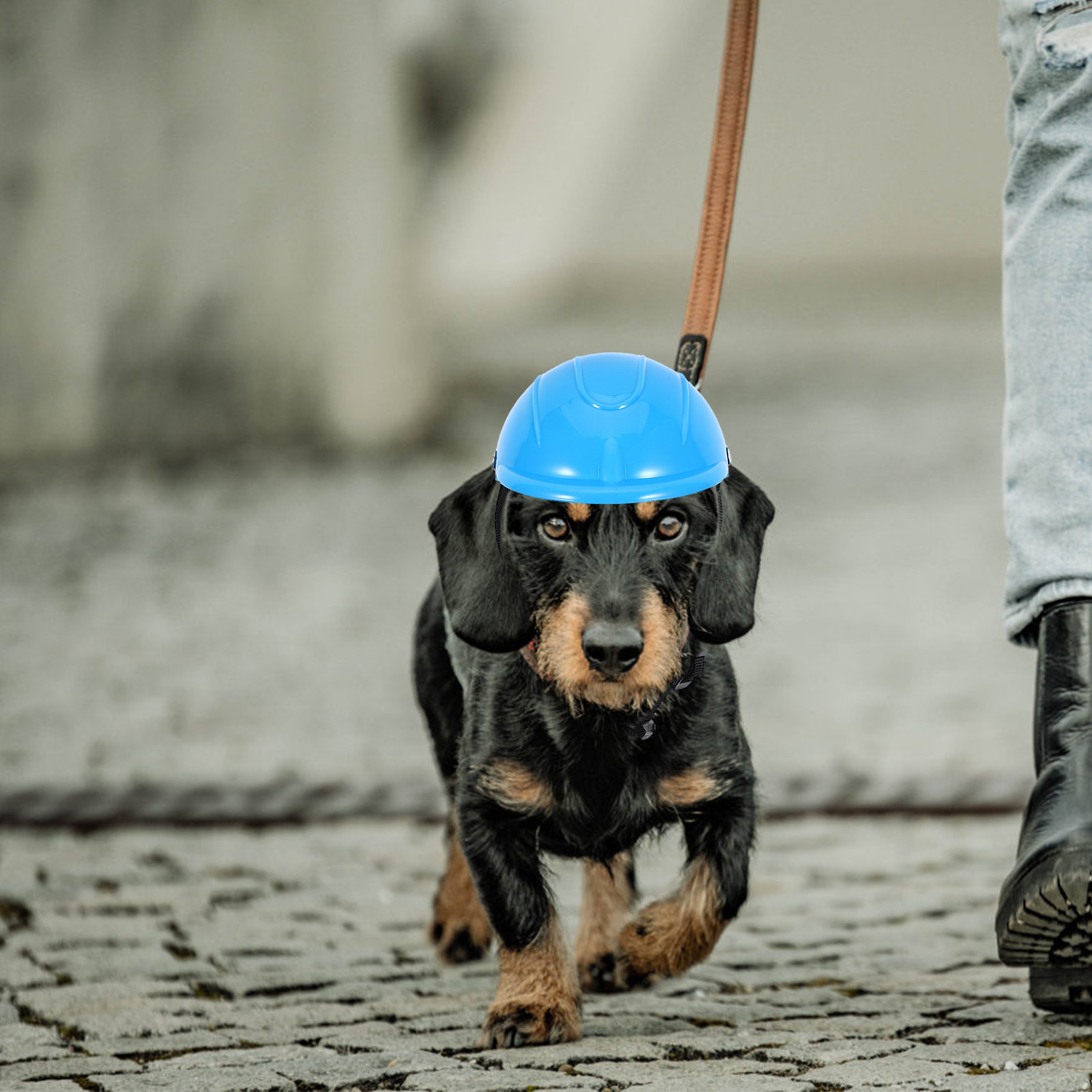 Small Dog Adjustable Pet Safet - Motorcycle Gear For Dogs avaliação e preço